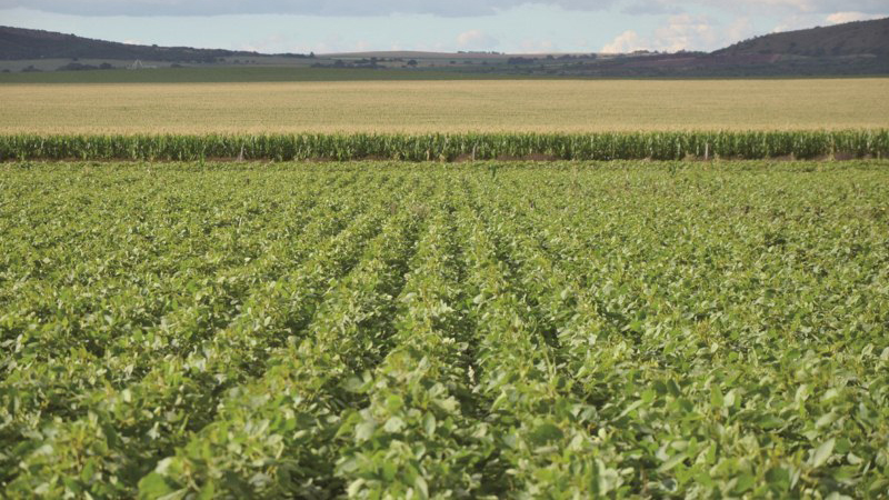 Cushamen (Chubut): qué porcentaje de tierras está en manos de extranjeros -  Chequeado